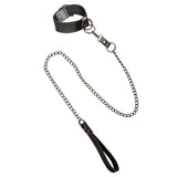 Euphoria Collection Collar with Chain Leash